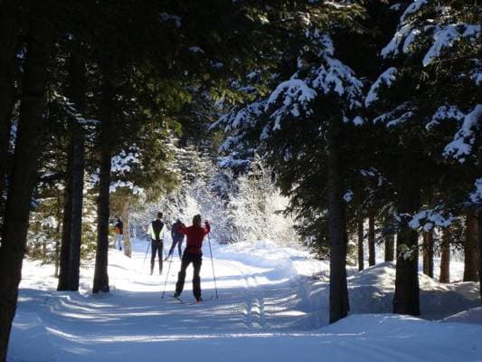 Sport invernali, storia e tradizione: lo sci di fondo in Piemonte