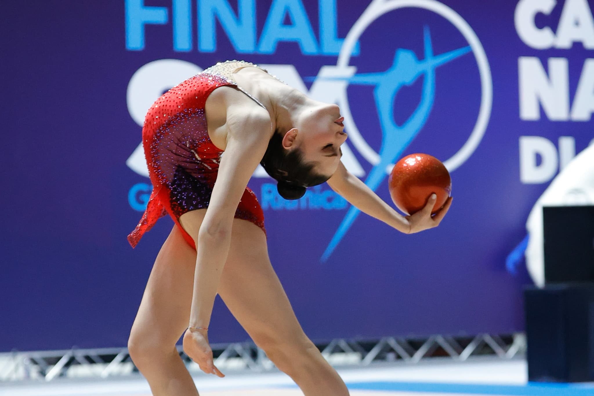 Ginnastica ritmica